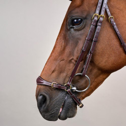 Trensenzaum mit verstellbarem Hannoverschem Reithalfter D Collection by Dy'on Braun Trensenzaum mit verstellbarem Hannoverschem Reithalfter D Collection by Dy'on Braun