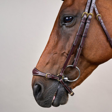 Trensenzaum mit verstellbarem Hannoverschem Reithalfter D Collection by Dy'on Braun Trensenzaum mit verstellbarem Hannoverschem Reithalfter D Collection by Dy'on Braun