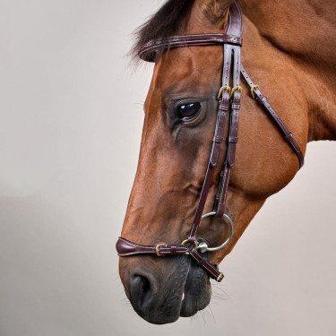 Trensenzaum mit verstellbarem Hannoverschem Reithalfter D Collection by Dy'on Braun Trensenzaum mit verstellbarem Hannoverschem Reithalfter D Collection by Dy'on Braun