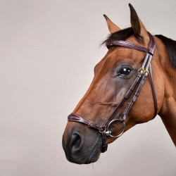 Trensenzaum mit verstellbarem Hannoverschem Reithalfter D Collection by Dy'on Braun Trensenzaum mit verstellbarem Hannoverschem Reithalfter D Collection by Dy'on Braun