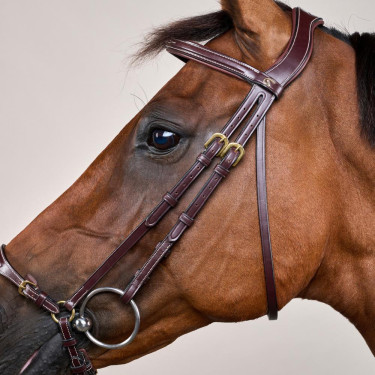 Trensenzaum mit verstellbarem Hannoverschem Reithalfter D Collection by Dy'on Braun Trensenzaum mit verstellbarem Hannoverschem Reithalfter D Collection by Dy'on Braun