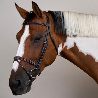 Kombiniertes Reithalfter US Collection by Dy'on Braun