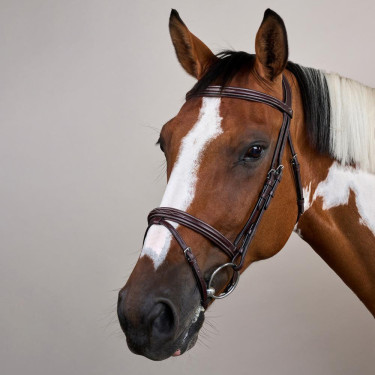 Kombiniertes Reithalfter US Collection by Dy'on Braun