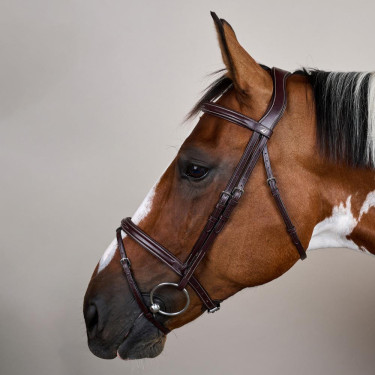 Kombiniertes Reithalfter US Collection by Dy'on Braun