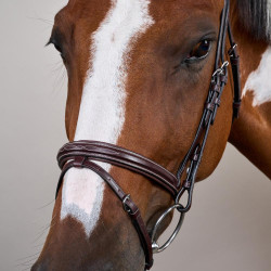 Kombiniertes Reithalfter US Collection by Dy'on Braun