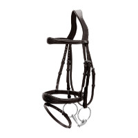 Kombiniertes Reithalfter Anatomisch US Collection by Dy'on Schwarz