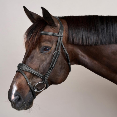 Kombiniertes Reithalfter Anatomisch US Collection by Dy'on Schwarz