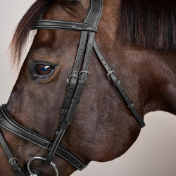 Kombiniertes Reithalfter Anatomisch US Collection by Dy'on Schwarz