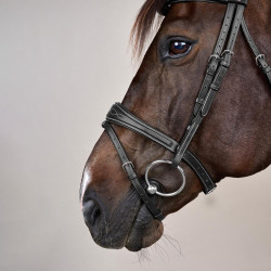 Kombiniertes Reithalfter Anatomisch US Collection by Dy'on Schwarz