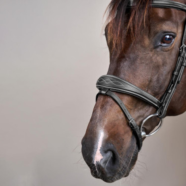 Kombiniertes Reithalfter Anatomisch US Collection by Dy'on Schwarz