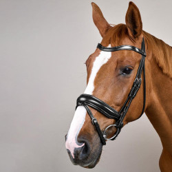 Kombiniertes Reithalfter Breit Working By Dy'on Schwarz