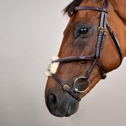 Reithalfter mit kombiniertem Nasenriemen D Collection by Dy'on Braun Reithalfter mit kombiniertem Nasenriemen D Collection by Dy'on Braun