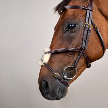 Reithalfter mit kombiniertem Nasenriemen D Collection by Dy'on Braun Reithalfter mit kombiniertem Nasenriemen D Collection by Dy'on Braun