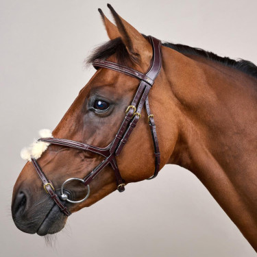 Reithalfter mit kombiniertem Nasenriemen D Collection by Dy'on Braun Reithalfter mit kombiniertem Nasenriemen D Collection by Dy'on Braun