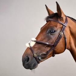 Reithalfter mit kombiniertem Nasenriemen D Collection by Dy'on Braun Reithalfter mit kombiniertem Nasenriemen D Collection by Dy'on Braun