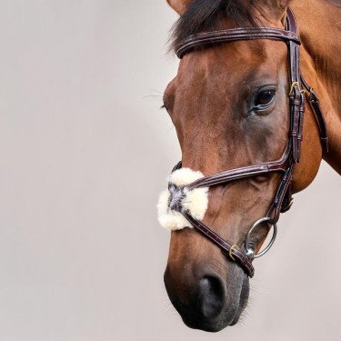 Reithalfter mit kombiniertem Nasenriemen D Collection by Dy'on Braun Reithalfter mit kombiniertem Nasenriemen D Collection by Dy'on Braun