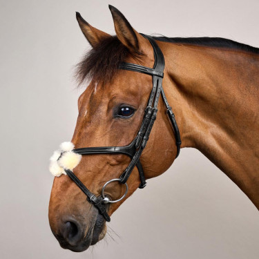 Reithalfter mit kombiniertem Nasenriemen New English Collection by Dy'on Schwarz