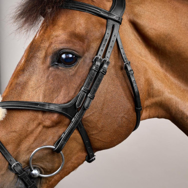 Reithalfter mit kombiniertem Nasenriemen New English Collection by Dy'on Schwarz