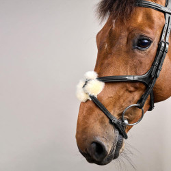 Reithalfter mit kombiniertem Nasenriemen New English Collection by Dy'on Schwarz