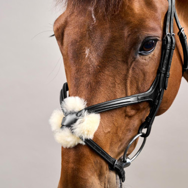 Reithalfter mit kombiniertem Nasenriemen New English Collection by Dy'on Schwarz