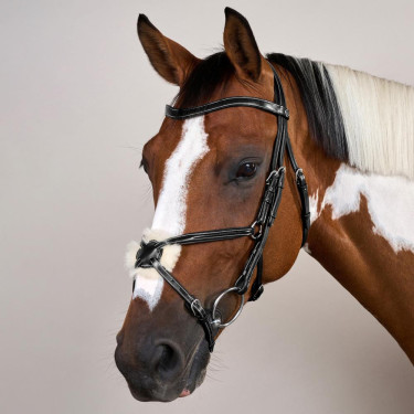 Kreuznasenriemen-Trense Working By Dy'on Schwarz Kreuznasenriemen-Trense Working By Dy'on Schwarz