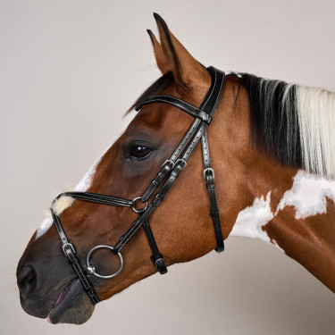 Kreuznasenriemen-Trense Working By Dy'on Schwarz Kreuznasenriemen-Trense Working By Dy'on Schwarz