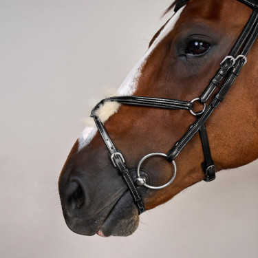 Kreuznasenriemen-Trense Working By Dy'on Schwarz Kreuznasenriemen-Trense Working By Dy'on Schwarz