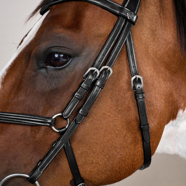 Kreuznasenriemen-Trense Working By Dy'on Schwarz Kreuznasenriemen-Trense Working By Dy'on Schwarz