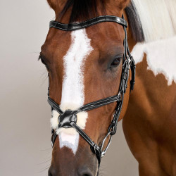 Kreuznasenriemen-Trense Working By Dy'on Schwarz Kreuznasenriemen-Trense Working By Dy'on Schwarz
