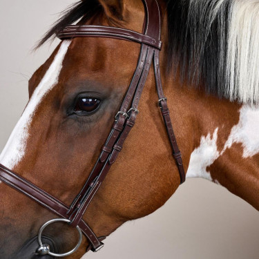 Trensenzaum Französisches Reithalfter US Collection by Dy'on Braun Trensenzaum Französisches Reithalfter US Collection by Dy'on Braun