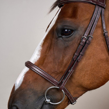 Trensenzaum Französisches Reithalfter US Collection by Dy'on Braun Trensenzaum Französisches Reithalfter US Collection by Dy'on Braun