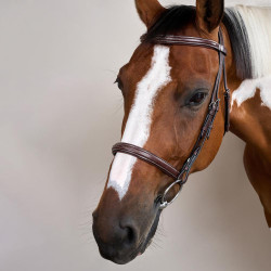 Trensenzaum Französisches Reithalfter US Collection by Dy'on Braun Trensenzaum Französisches Reithalfter US Collection by Dy'on Braun