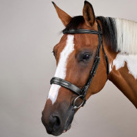 Reithalfter mit breitem Nasenriemen Hunter US Collection by Dy'on Schwarz