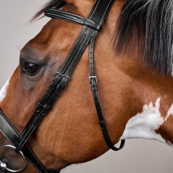 Reithalfter mit breitem Nasenriemen Hunter US Collection by Dy'on Schwarz Reithalfter mit breitem Nasenriemen Hunter US Collection by Dy'on Schwarz