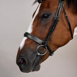 Reithalfter mit breitem Nasenriemen Hunter US Collection by Dy'on Schwarz Reithalfter mit breitem Nasenriemen Hunter US Collection by Dy'on Schwarz