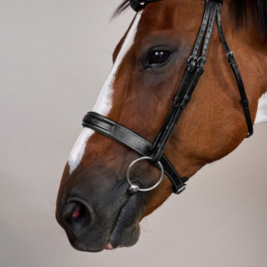 Reithalfter mit breitem Nasenriemen Hunter US Collection by Dy'on Schwarz Reithalfter mit breitem Nasenriemen Hunter US Collection by Dy'on Schwarz