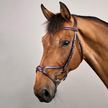 Bridon X-Fit New English Collection by Dy'on Braun Bridon X-Fit New English Collection by Dy'on Braun