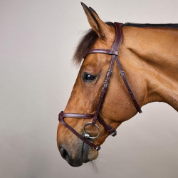 Bridon X-Fit New English Collection by Dy'on Braun Bridon X-Fit New English Collection by Dy'on Braun