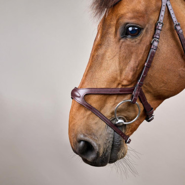 Bridon X-Fit New English Collection by Dy'on Braun Bridon X-Fit New English Collection by Dy'on Braun