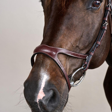 Bridon X-Fit US Collection by Dy'on Braun