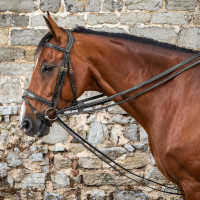 Deutsche Zügel Full Leather 1/2 D Collection by Dy'on Schwarz Deutsche Zügel Full Leather 1/2 D Collection by Dy'on Schwarz
