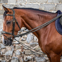 Deutsche Zügel Leder/Nylon 5/8 D Collection by Dy'on Schwarz