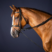 Deutsche Zügel Leder/Nylon 5/8 New English Collection by Dy'on Schwarz Deutsche Zügel Leder/Nylon 5/8 New English Collection by Dy'on Schwarz