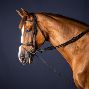 Deutsche Führleinen Leder/Nylon 5/8 New English Collection by Dy'on Schwarz