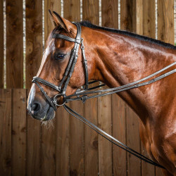 Deutsche Hunter 1/2 Working-Zügel von Dy'on Schwarz