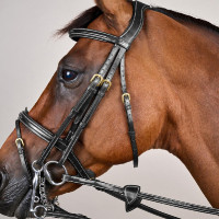 Trense Kombinierter Reithalfter D Collection by Dy'on Schwarz