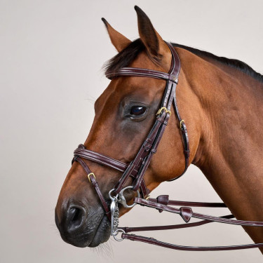 Trense Kombinierter Reithalfter D Collection by Dy'on Braun