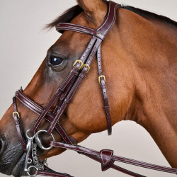 Trense Kombinierter Reithalfter D Collection by Dy'on Braun