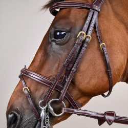 Trense Kombinierter Reithalfter D Collection by Dy'on Braun