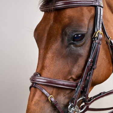 Trense Kombinierter Reithalfter D Collection by Dy'on Braun